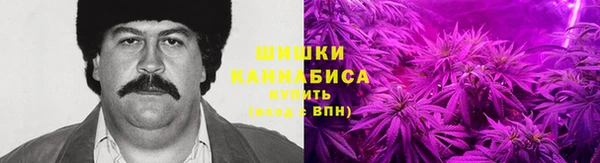 гидропоника Абаза