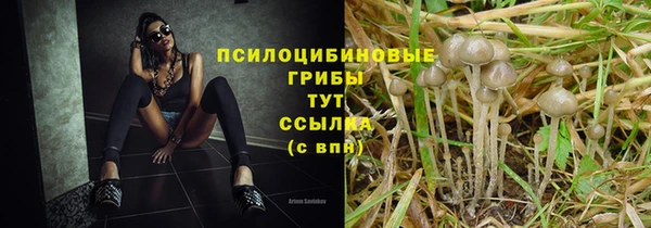 индика Абинск