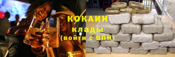 индика Абинск